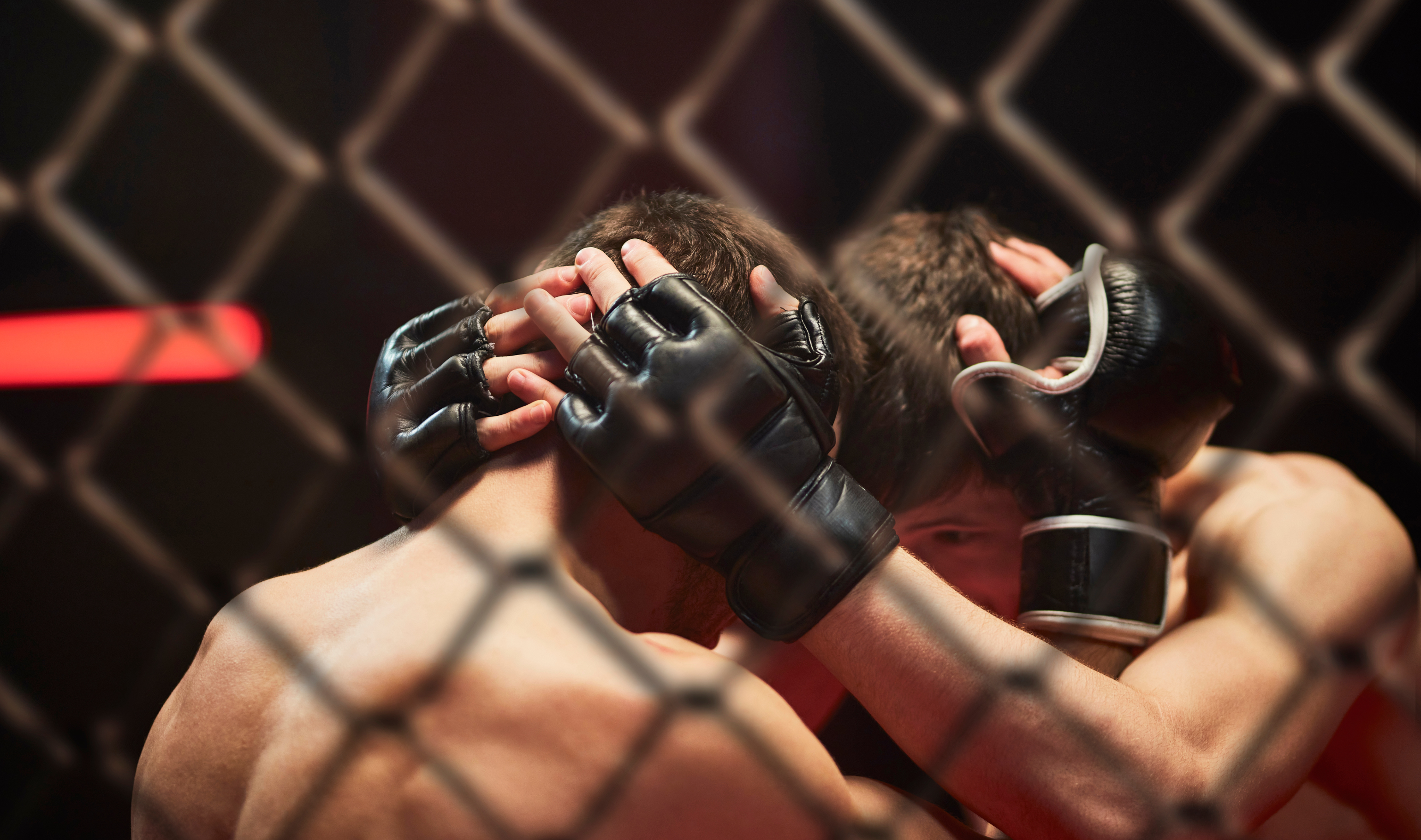 How to Sign Up For a MMA Fight?